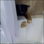 File:150px-16 yapfiles.ru.gif