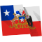 PCEE459_Chile_flag.png