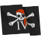 PCEE118_Jolly_Roger_4.png