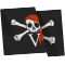 PCEE194_Jolly_Roger_5.png