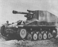 ファイル:246px-Wespe pic2.jpg