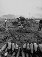 Fichier:147px-M41 155mm self propelled howitzer in Korea.jpg