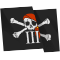 PCEE049_Jolly_Roger_3.png