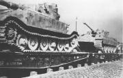 Fichier:180px-Tiger(p).jpg