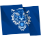 PCEE475_WhiteTiger_flag.png