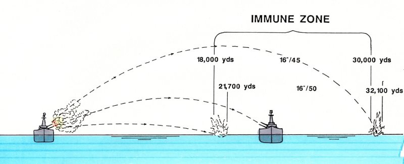 Immunity_zone.jpeg