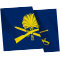 PCEE170_Monaghan_Flag.png