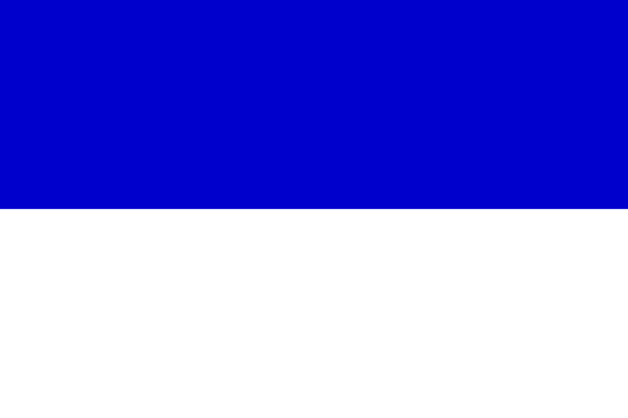Флаг из двух цветов. Флаг герцогства Брауншвейг. Бело синий флаг. Синий белый синий. Бело синий цвет.