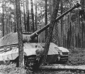 120px-PzKpfw_VI_Ausf._B_Tiger_II_(H)_1.jpg