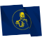 PCEE303_Sims_flag.png