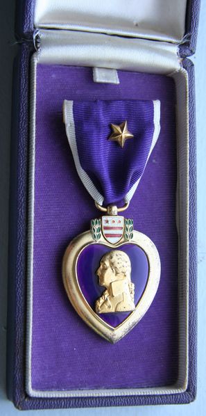 Plik:PurpleHeartCase.jpg