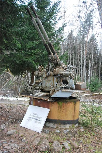 Plik:Orudie 3.jpg