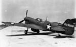 Hawk_87_(2).jpg