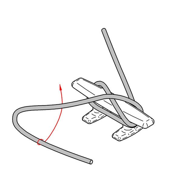 File:Утка2.jpg
