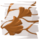 PJES493_GoldenMonth_Suzuya.png