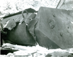 Panther_M10_(6).png