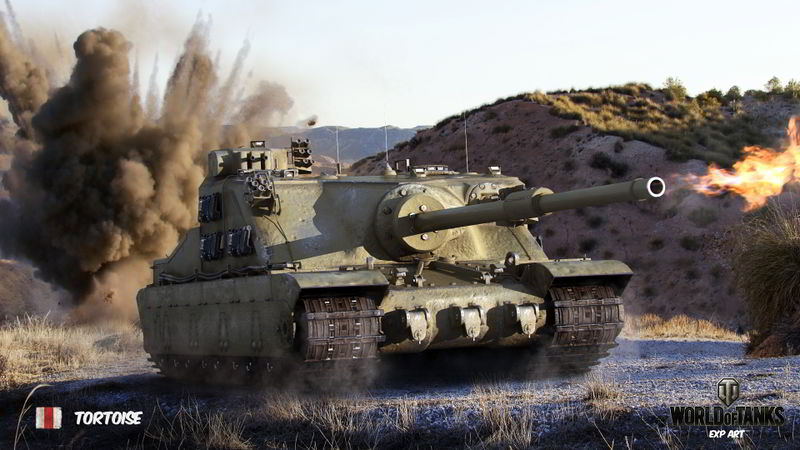 Datei:Tortoise art 1.jpg