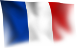 Wows_anno_flag_france.png