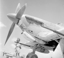 Hawker_Hurricane_IID.jpg