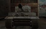 Tiger_shot3.JPG
