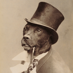 Dixie.png