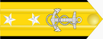 Конт_адмирал_Джон_Гувер.png