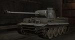 Tiger_shot2.JPG