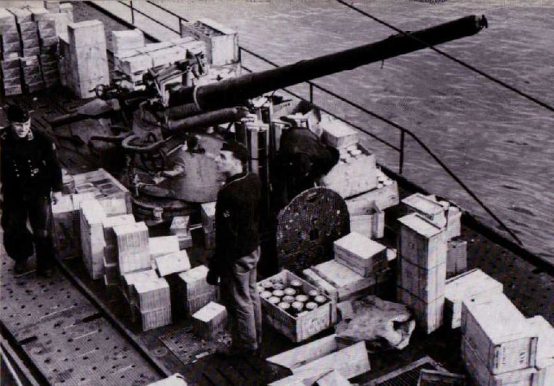Plik:Mb 10cm.jpg