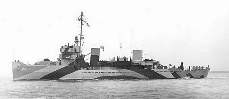 Datei:Surfbird.jpg