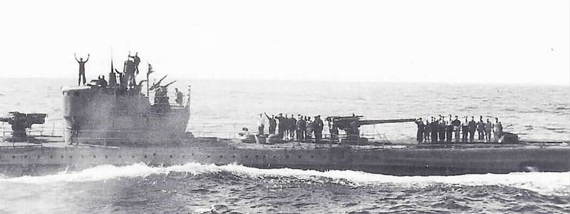 Arquivo:Atlantis tazzoli.jpg