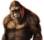 Kong.png