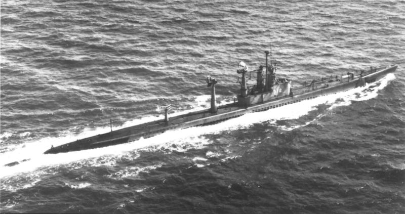 Plik:Burrfish-radar-picket.jpg