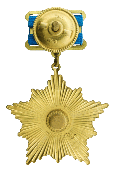 File:50 лет медаль 2.gif