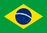 Brazillian_flag.png