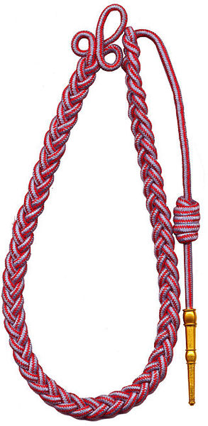 Plik:Fourragère CG TOE.jpg