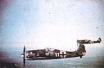 Fw_190_(1).jpg