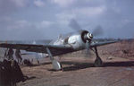 Focke-Wulf_Fw_190_A-8_R2_(2).jpg