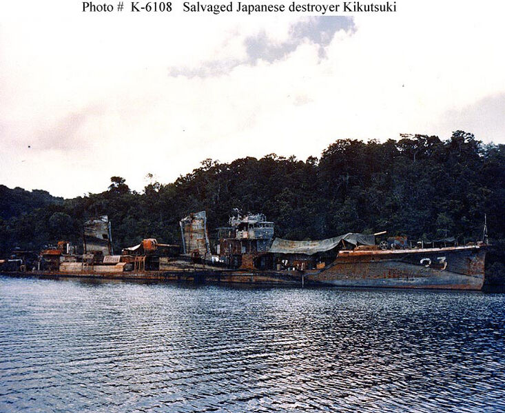 Datei:Coral Sea 17.jpg