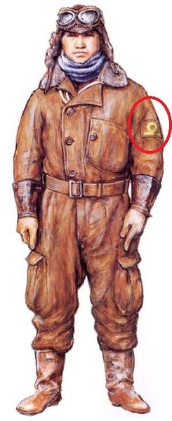 File:Звания ИФЯ пилот.jpg