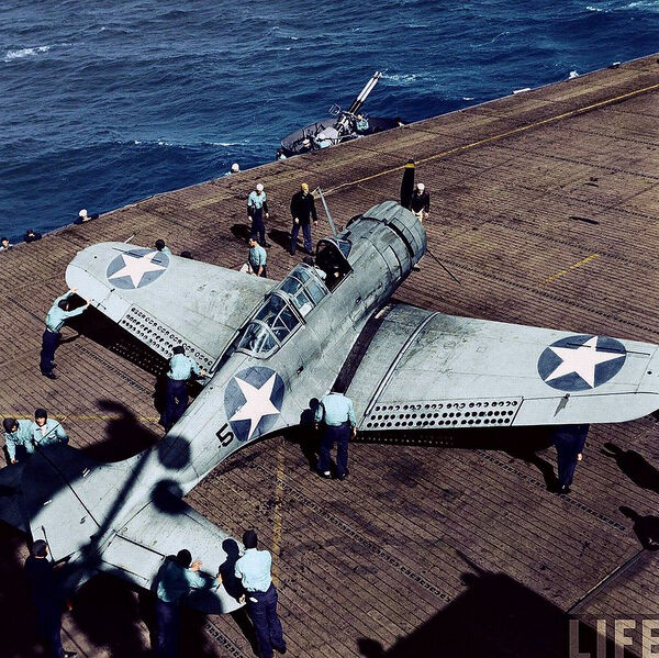 Datei:Coral Sea 18.jpg