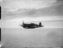 Curtiss_Model_81A-1_(RAF).jpg