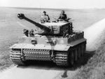 TigerHist.jpg