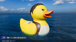 Update-122-Luigi_McQuacci.jpg