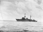 ITALIAN_WARSHIP_SURRENDERS_AT_COLOMBO._14_SEPTEMBER_1943._THE_ITALIAN_COLONIAL_SLOOP_ERITREA_A_2170_TONS,_ESCORT_VESSEL_WITH_A_SPEED_OF_20_KNOTS,_ENTERED_COLOMBO_HARBOUR_RECENTLY_TO_SURRENDER._A19586.jpg