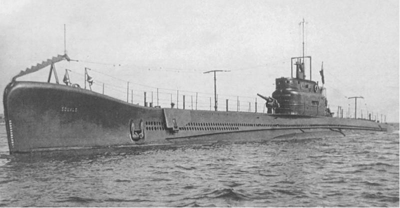 File:Squalo.jpg