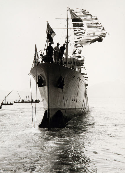 파일:Albatros Pic 02.jpg