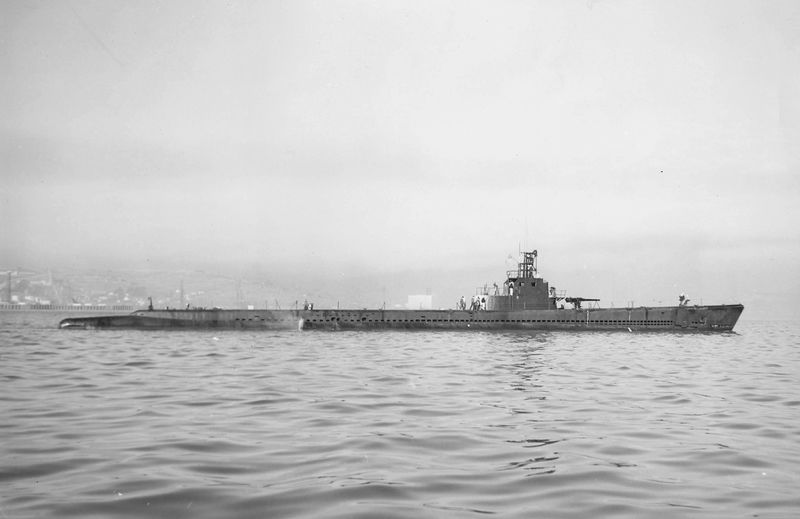 Plik:SS-233.jpg