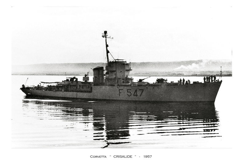 Datei:Crisalide F 547.jpg