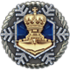 Icon_achievement_CAMPAIGN_NEWYEAR2018ELITE_COMPLETED.png