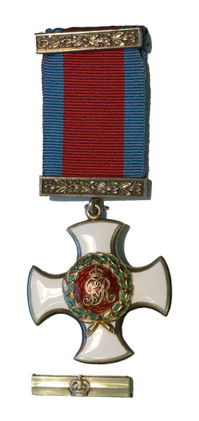 Soubor:Орден «За выдающиеся заслуги».jpg